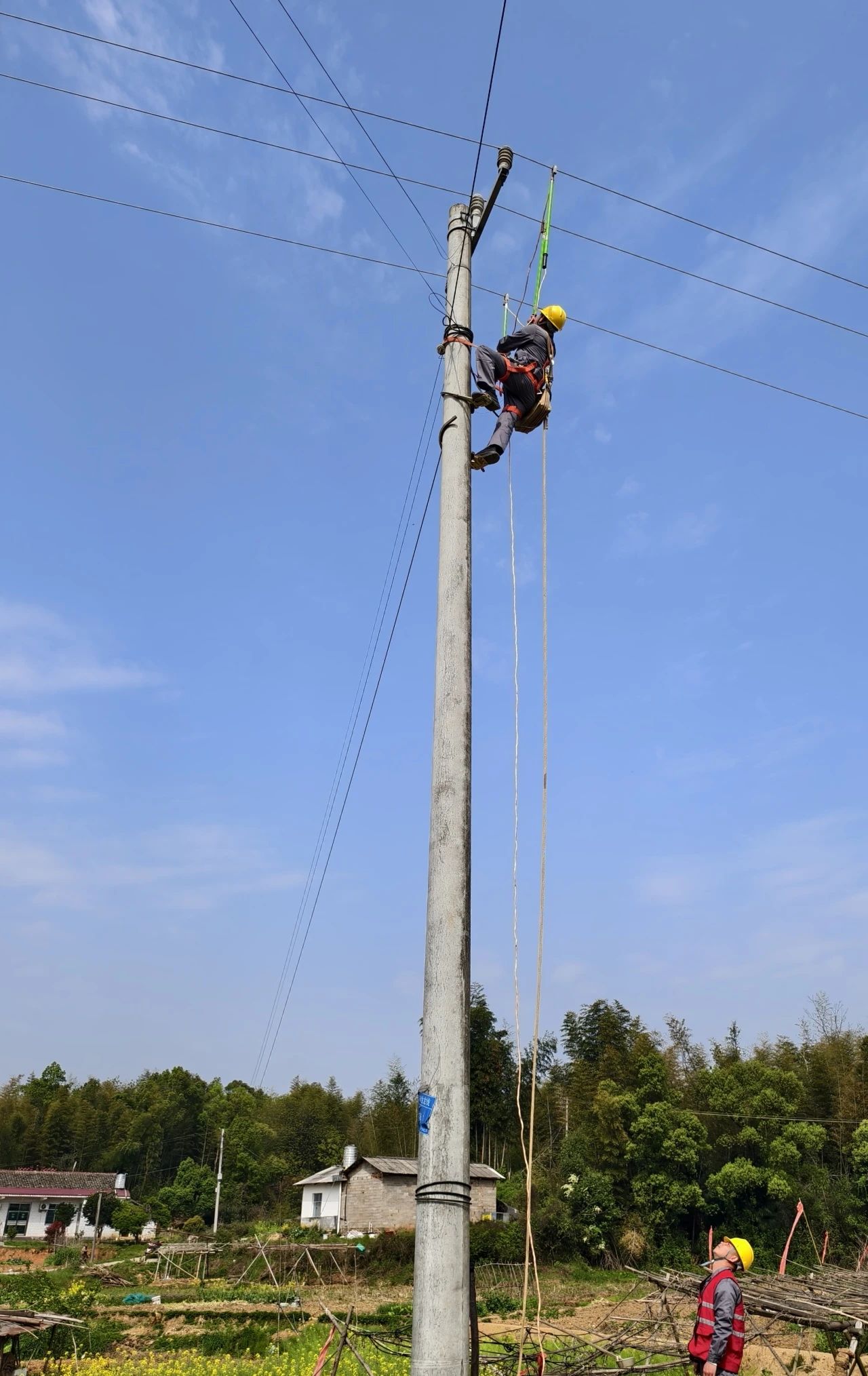 新聞動態 新聞動態